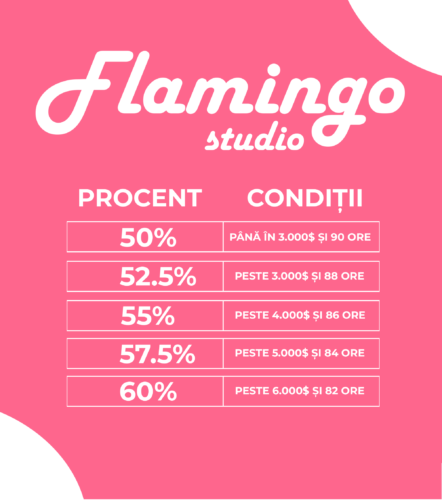 Studio videochat Bucuresti, Flamingo Studio, cum se face videochat, vreau sa fac videochat, modele videochat, incasari videochat, videochat bucuresti, videochat cazare, studio de chat, video chat Bucuresti, Studio de video chat, pot sa fac videochat, conturi de videochat, cont videochat