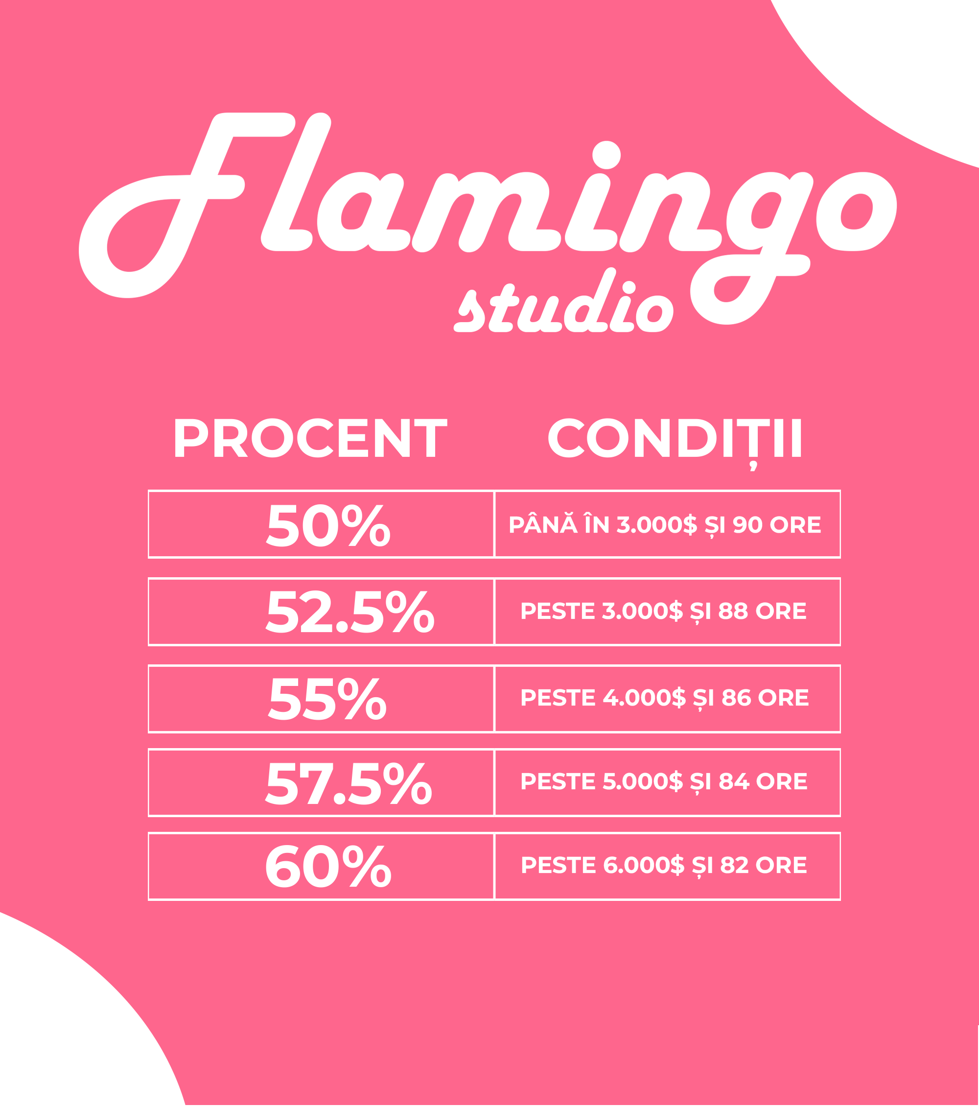 Studio videochat Bucuresti, Flamingo Studio, cum se face videochat, vreau sa fac videochat, modele videochat, incasari videochat, videochat bucuresti, videochat cazare, studio de chat, video chat Bucuresti, Studio de video chat, pot sa fac videochat, conturi de videochat, cont videochat